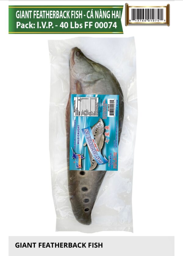 FF 00074 GIANT FEATHERBACK FISH • Cá nàng hai Pack 40Lbs