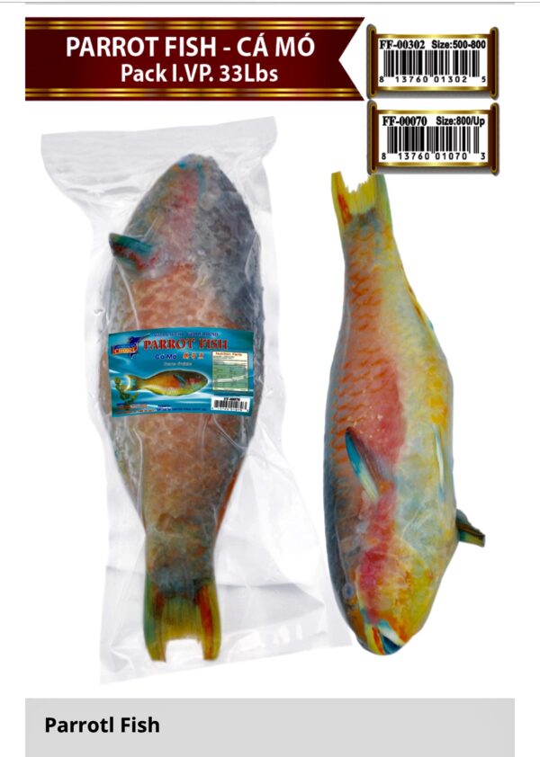 PARROT FISH - Cá Mó Pack 33Lbs